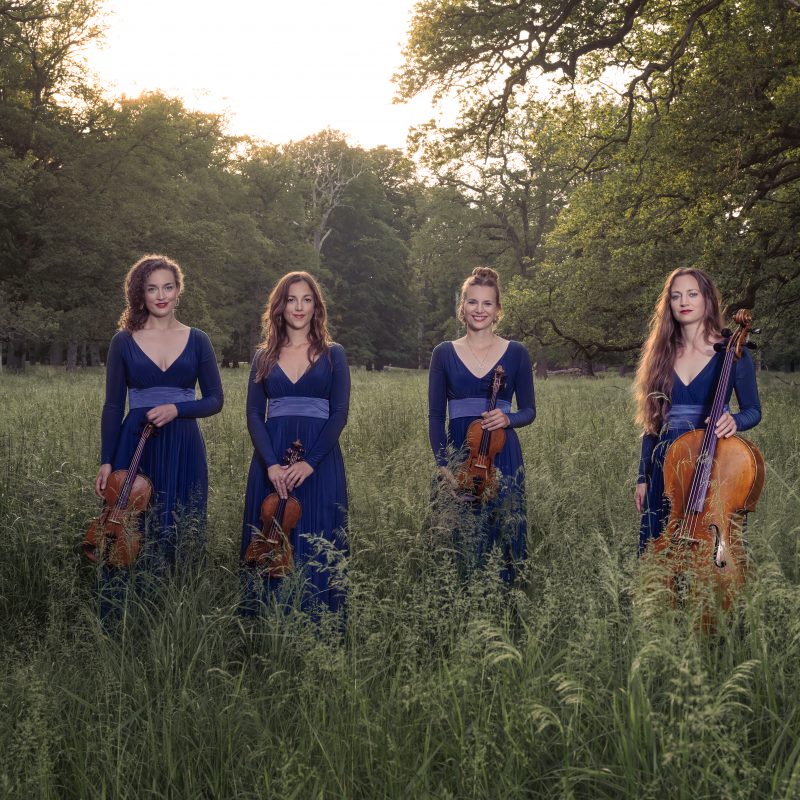 Nightingale String Quartet 01 by Julia Severinsen