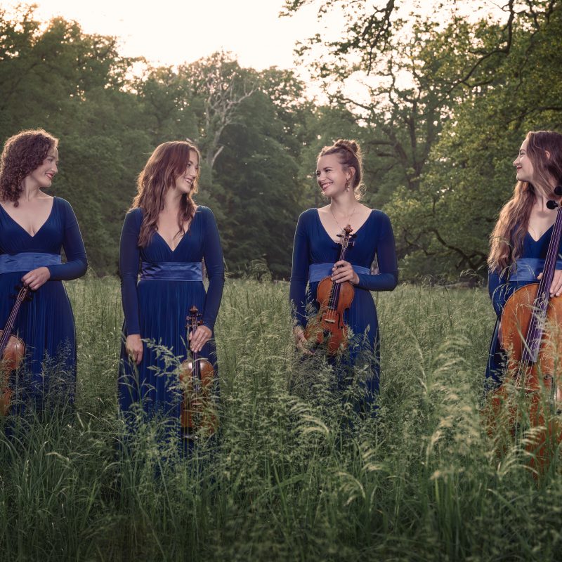 Nightingale String Quartet 02 by Julia Severinsen