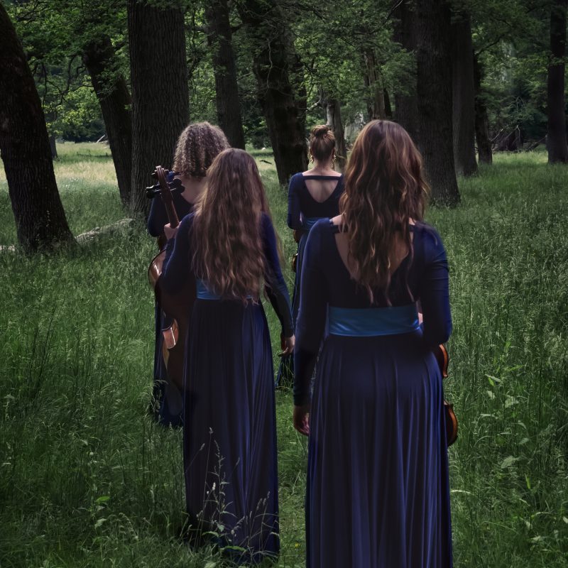 Nightingale String Quartet 03 by Julia Severinsen