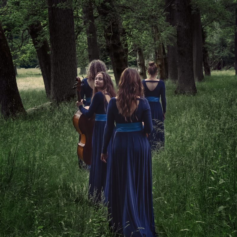 Nightingale String Quartet 10 by Julia Severinsen